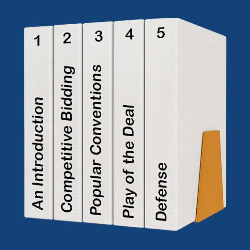 Video Lessons with Practice Deals